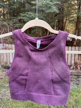 aerie Ribbed Crop Tank Top in Plum